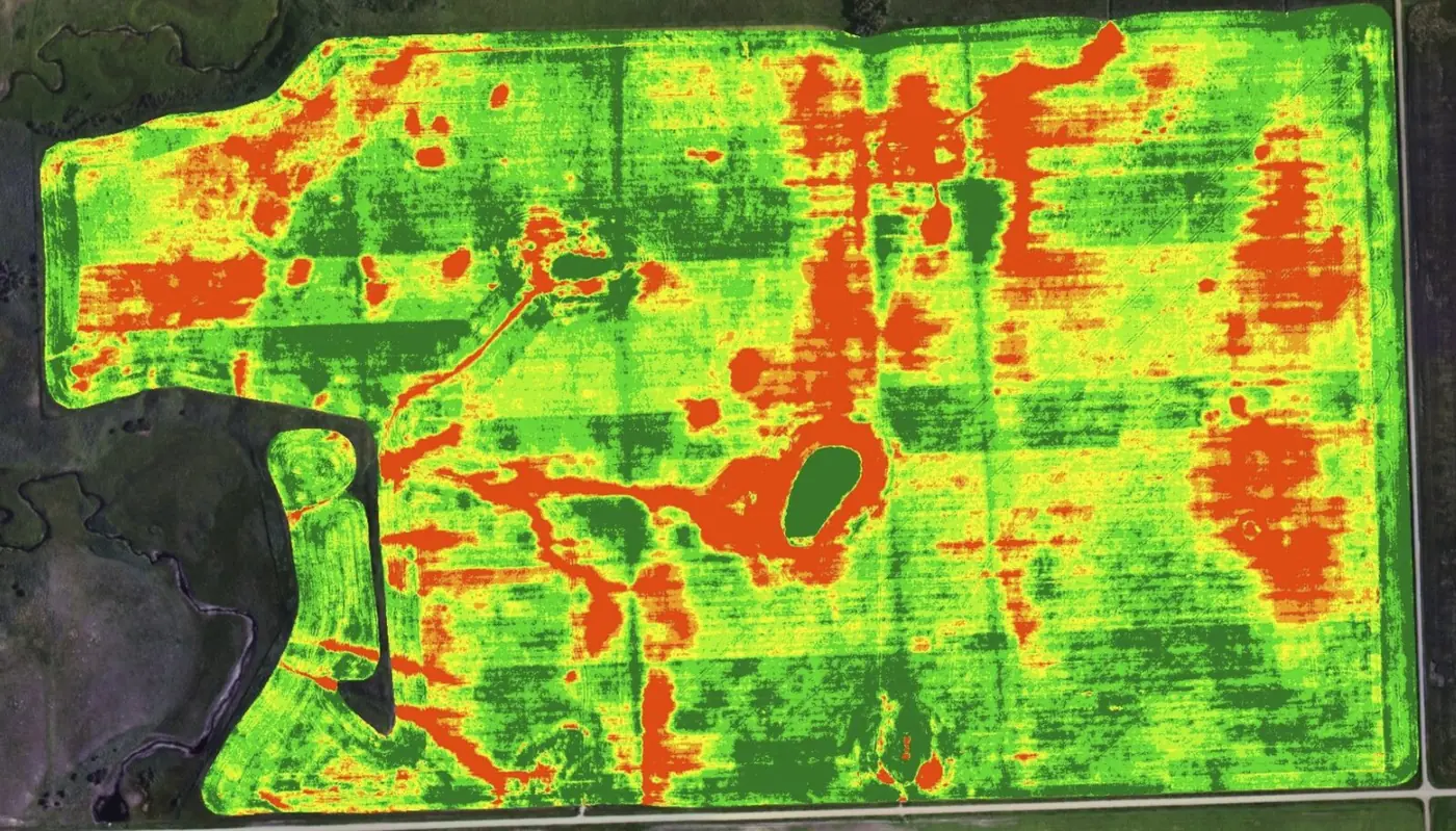 Vegetation index map of a crop field.